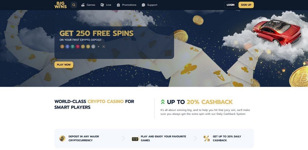 What are the Advantages and disadvantages of Big Wins?