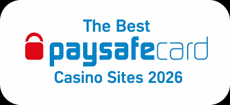 Casino med Paysafe Sikker og Anonym Spiloplevelse 318513488