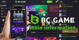 Discover the Excitement at BC.Game Online Casino