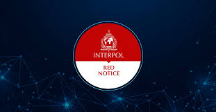 Understanding the Role of Interpol Lawyers Navigating Legal Complexities