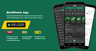 BetWinner Platform A Comprehensive Guide to Sports Betting and Online Gaming