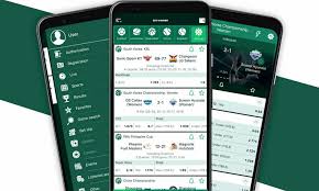 Comprehensive BetWinner Betting Guide Strategies and Tips