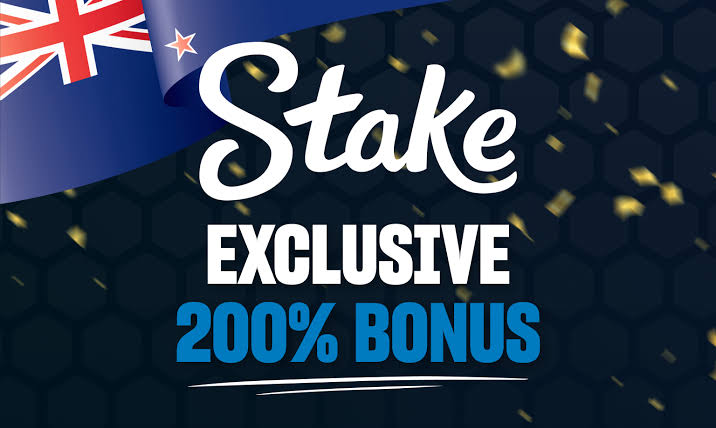 Variety Of Risk Gambling Establishment Games and Software Application Providers